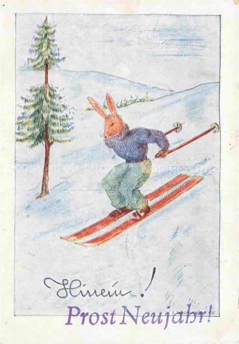 Neujahr Annee New Year Hase Sky Schlitten