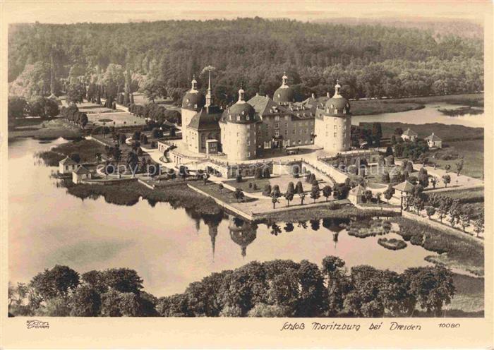 Foto Hahn Nr. 10080 Schloss Moritzburg Dresden