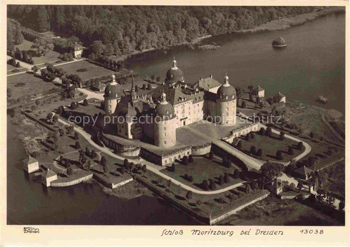 Foto Hahn Nr. 13038 Schloss Moritzburg Dresden