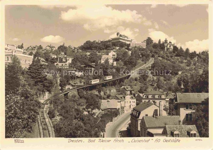 Foto Hahn Nr. 12754 Bad Weisser Hirsch Luisenhof Dresden