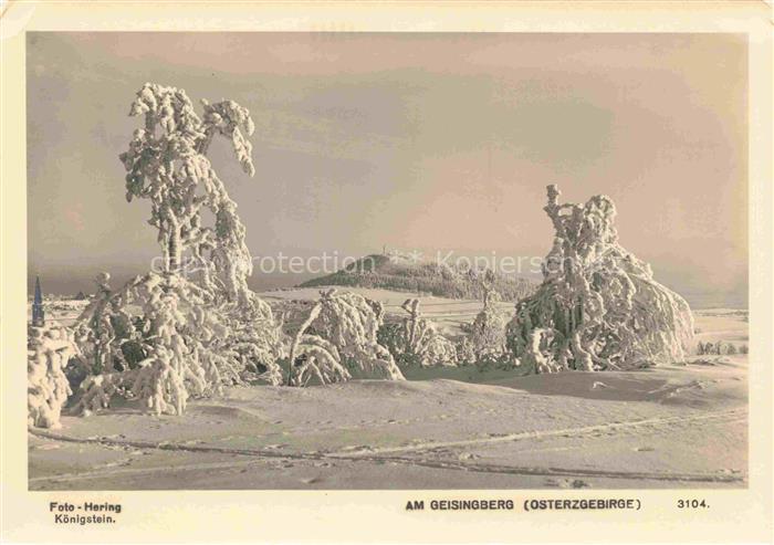 Foto Hering Nr. 3104 Koenigstein am Geisingberg Osterzgebirge