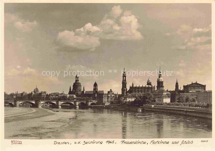 Foto Hahn Nr. 10817 Dresden Frauenkirche Hofkirche Elbe