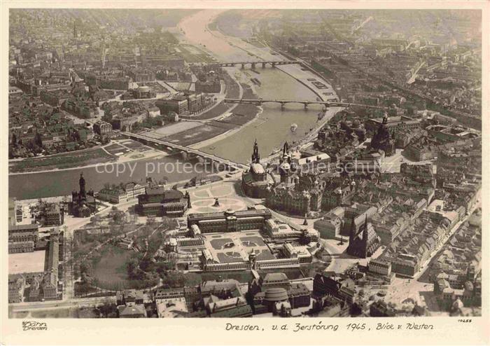 Foto Hahn Nr. 10255 Dresden Westen Zwinger Frauenkirche Hofkirche Elbe