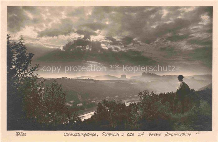 Foto Hahn Nr. 920 Elbsandsteingebirge Schrammsteine