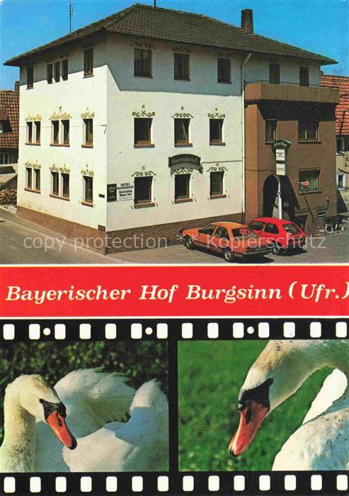 Burgsinn Main-Spessart Bayern Bayerischer Hof Schwaene