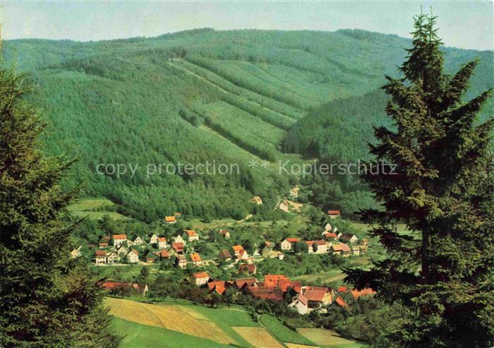 Langenthal Odenwald Hirschhorn Neckar Bergstrasse Panorama