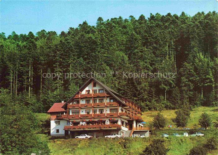 Bad Peterstal-Griesbach Hotel Waldgasthof Palmspring