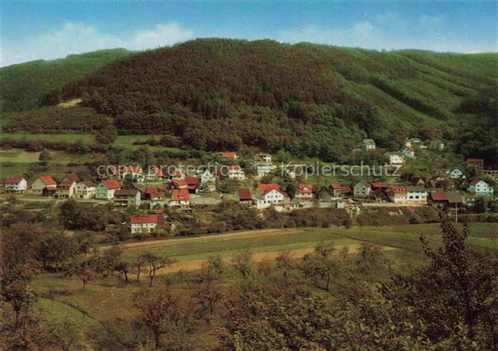 Langenthal Odenwald Hirschhorn Neckar Bergstrasse Panorama