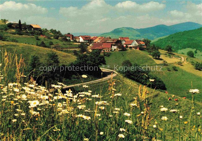Pfaffenberg Zell im Wiesental BW Panorama