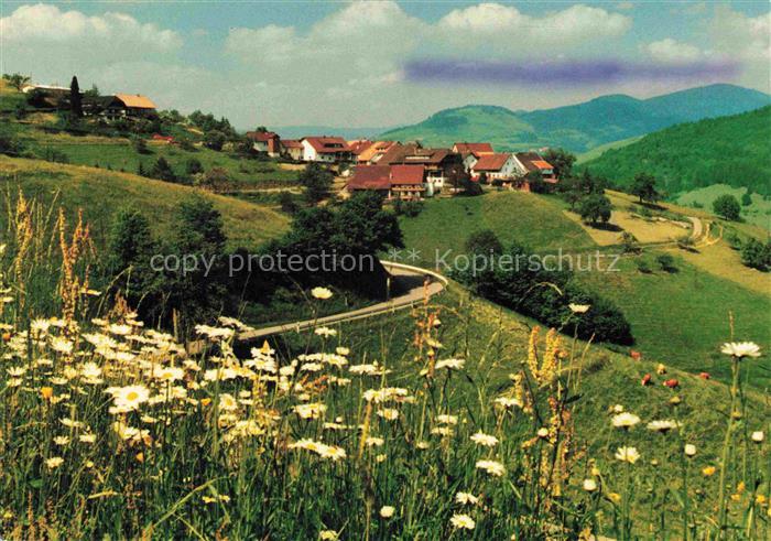 Pfaffenberg Zell im Wiesental BW Panorama