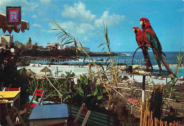 Puerto-de-la-Cruz Tenerife ES Vista parcial desde la Avenida de Colon