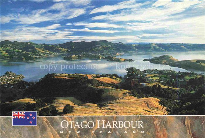 Otago NZ Otago Harbour Air view
