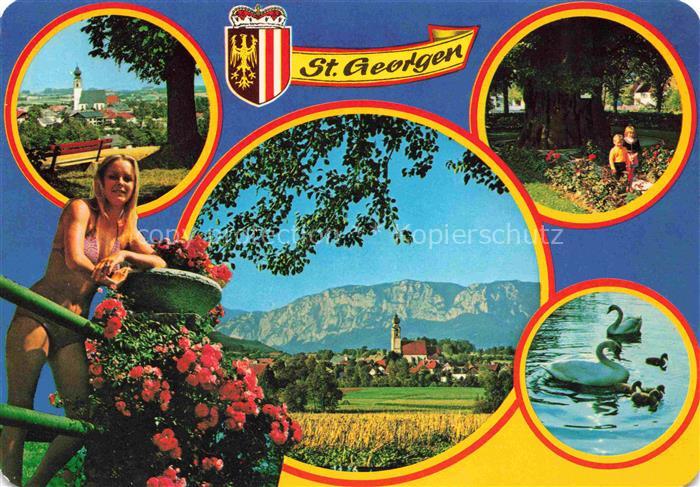 St Georgen Attergau Traunviertel AT Panorama Park Schwanenteich