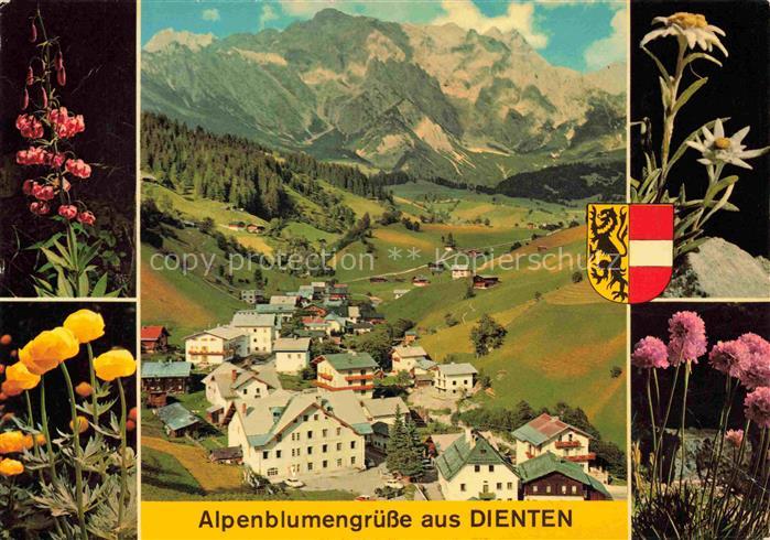 Dienten Hochkoenig Pinzgau-Pongau AT Alpenflora Ortsansicht