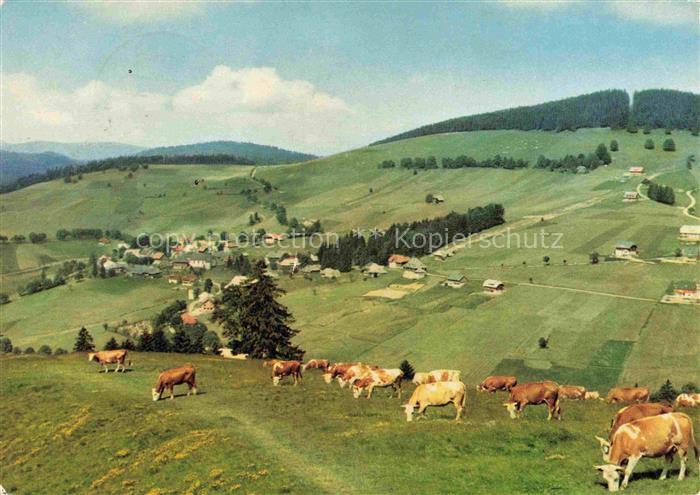 Todtnauberg Schwarzwald BW Fliegeraufnahme