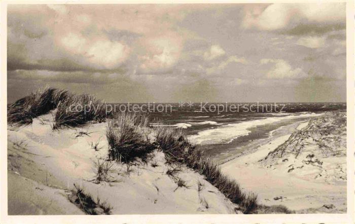 AMRUM Insel Nebel Nordfriesland Duenen Meerblick