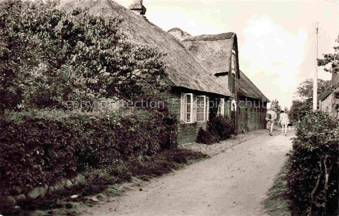 Utersum Insel Foehr Nordfriesland Schleswig-Holstein Friesenhaus