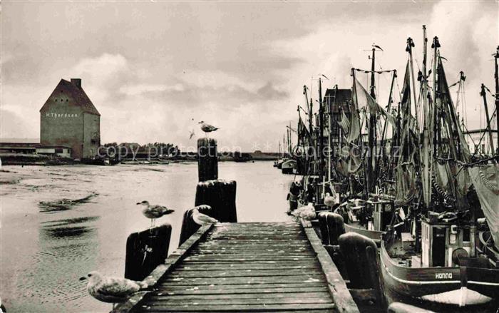 HUSUM  Nordfriesland Norsee Schleswig-Holstein Hafen Mole