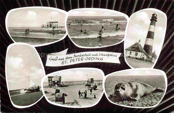 St Peter Ording Nordseebad Strand Badespass Leuchtturm Robbe