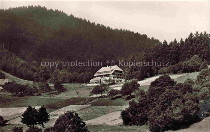 Neuenweg Kleines Wiesental BW Gasthaus Haldenhof