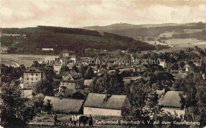 Bad Brambach Vogtlandkreis Sachsen Panorama mit dem Kapellenberg