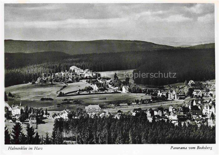 Hahnenklee-Bockswiese Harz Panorama vom Bocksberg