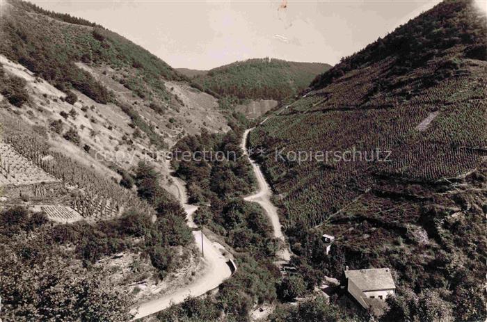 Klotten Mosel Cochem-Zell Rheinland-Pfalz