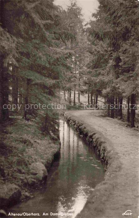 Altenau Harz Gemkenthal Niedersachsen Am Dammgraben
