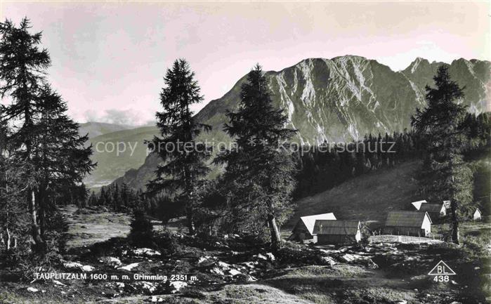 Tauplitzalm 1650m Tauplitzer-Berghof Dachstein AT Grimming