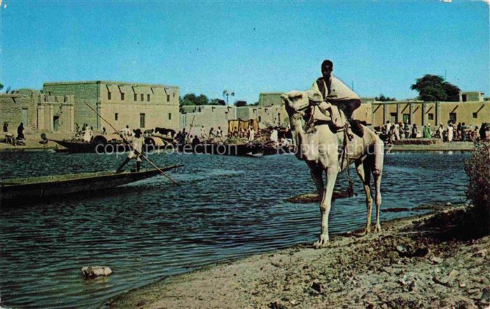 Tombouctou Bamako Mali Port Timbuktu Kamele Camel