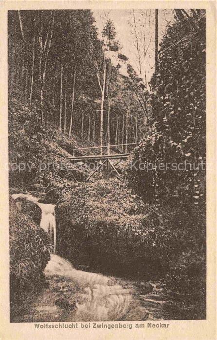 Zwingenberg Neckar BW Wolfsschlucht