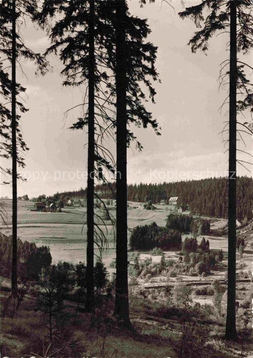 Steinheidel Breitenbrunn Erzgebirge Sachsen Sommerfrische