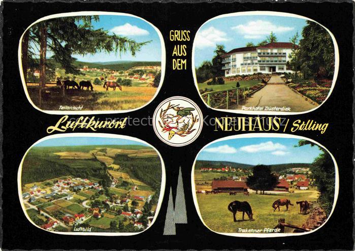 Neuhaus Solling Holzminden Weser Niedersachsen Parkhotel Duesterdick Trakehner P