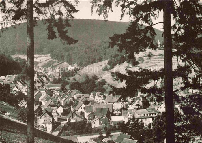 Bad Grund Harz Osterode Niedersachsen Blick vom Knollen