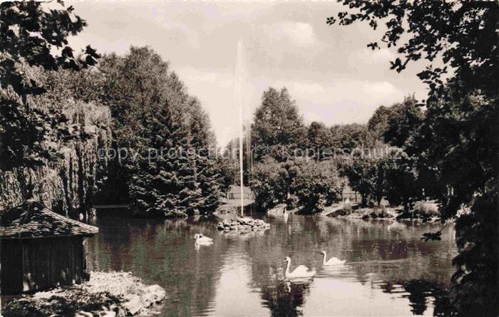 Mosbach Baden Neckar-Odenwald-Kreis BW Partie im Stadtgarten