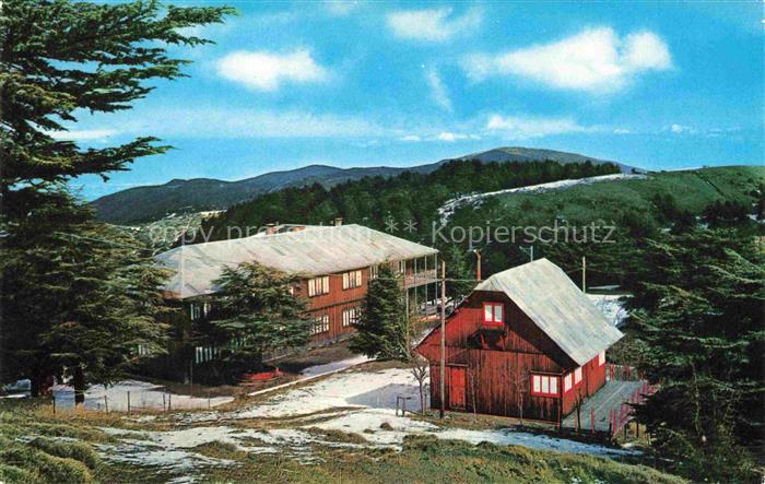 Chrea Atlasgebirge Algerie Restaurant du Ski Club