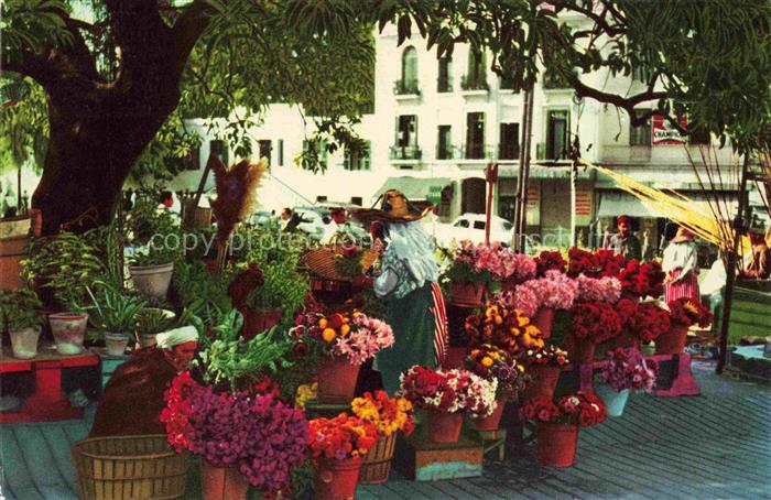 TANGER Tangier Tangiers Maroc Puesto de flores en el Zoco de fuera