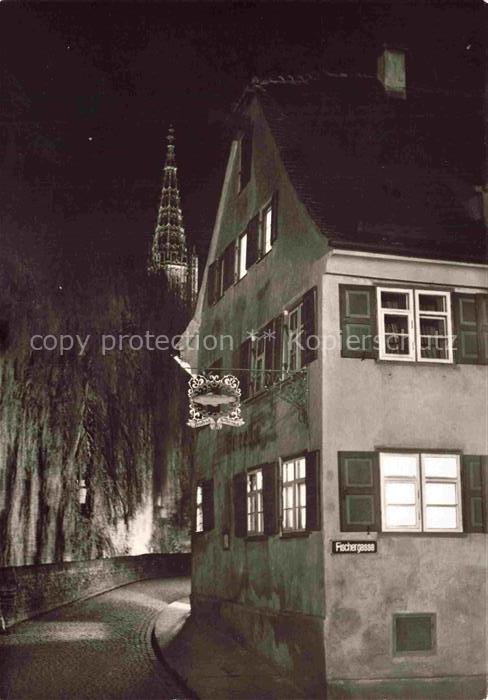 ULM  Donau BW Alt Ulmer Lokal Die Forelle