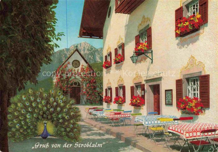 Anger Chiemgau Bayern Stroblalm am Hoegl mit Hochstaufen