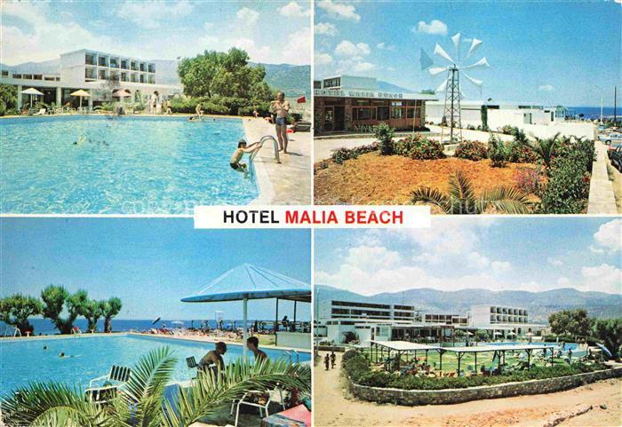 Malia Crete Greece Hotel Malia Beach Swimming Pool