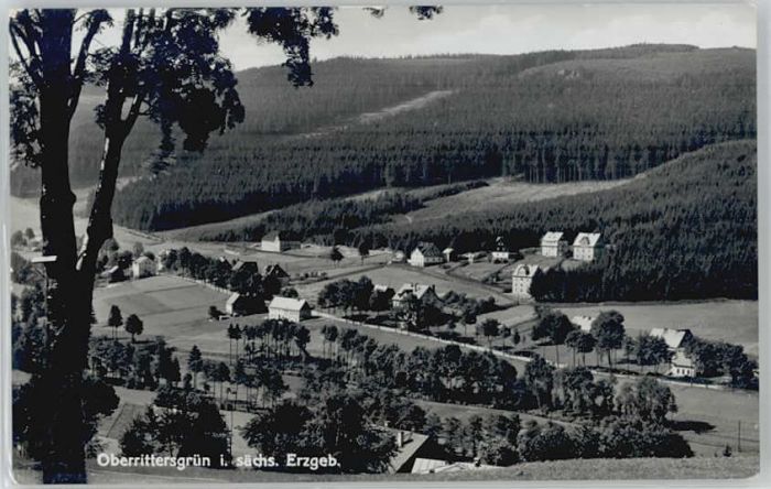 Rittersgruen berrittersgruen x