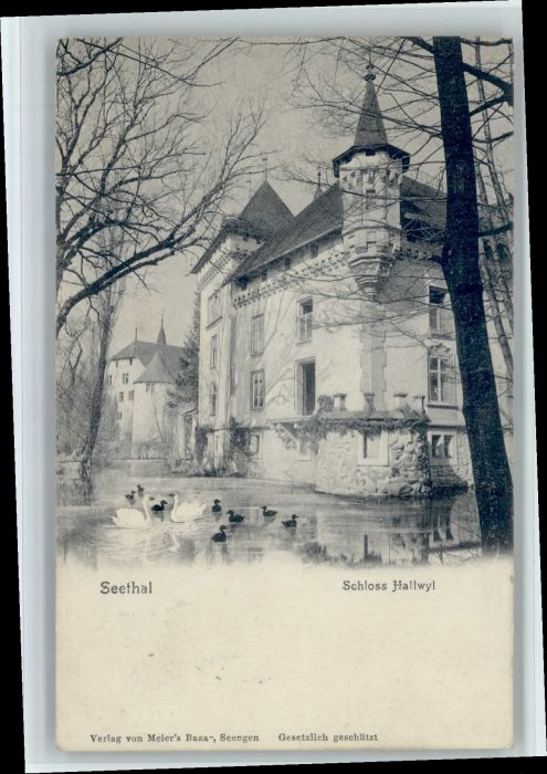 Hallwil Schloss