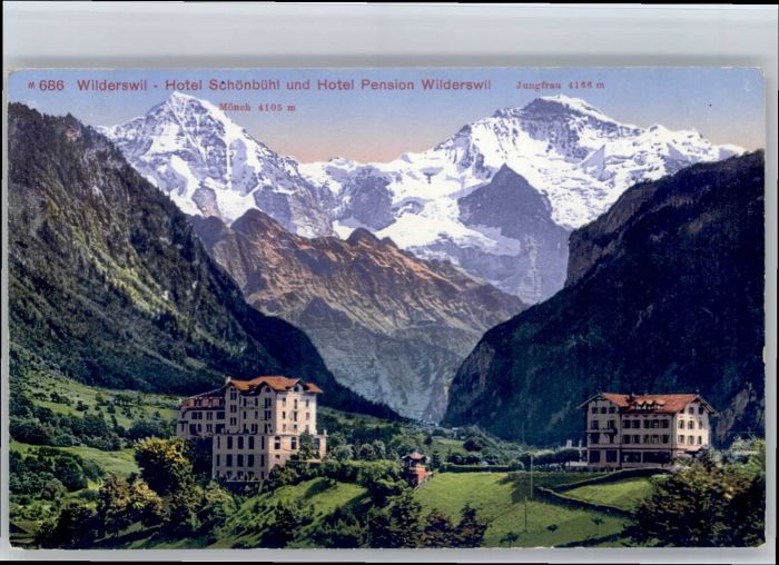 Wilderswil Hotel Schoenbuehl Hotel Pension Wilderswil *