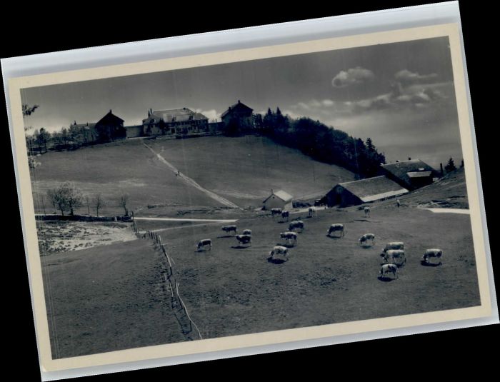 Weissenstein SO Weissenstein Wirtschaft Sennhaus