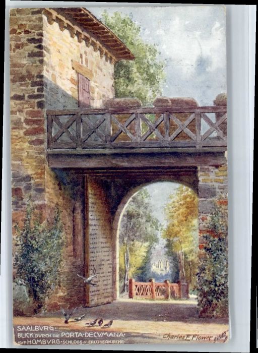 Saalburg Taunus Kuenstler Erholungsheim Flower