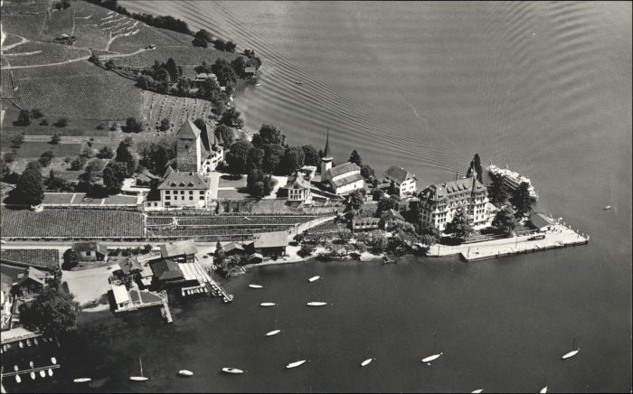 Spiez BE Spiez Hotel Spiezerhof Fliegeraufnahme
