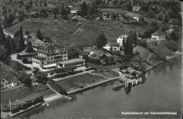 Kastanienbaum Fliegeraufnahme