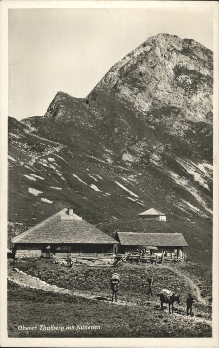 Nuenenenflue berer Thalberg