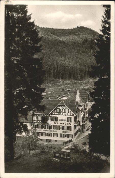 Schoenmuenzach tel Waldhorn x