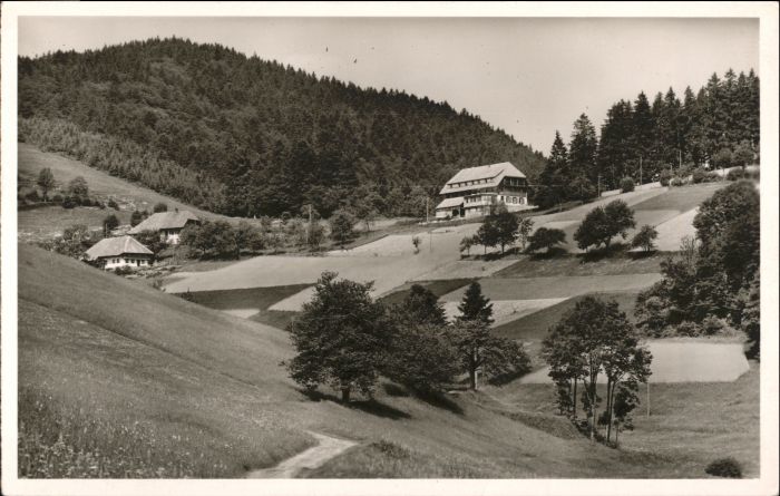 Schoenau Schwarzwald asthaus Pension Haldenhof